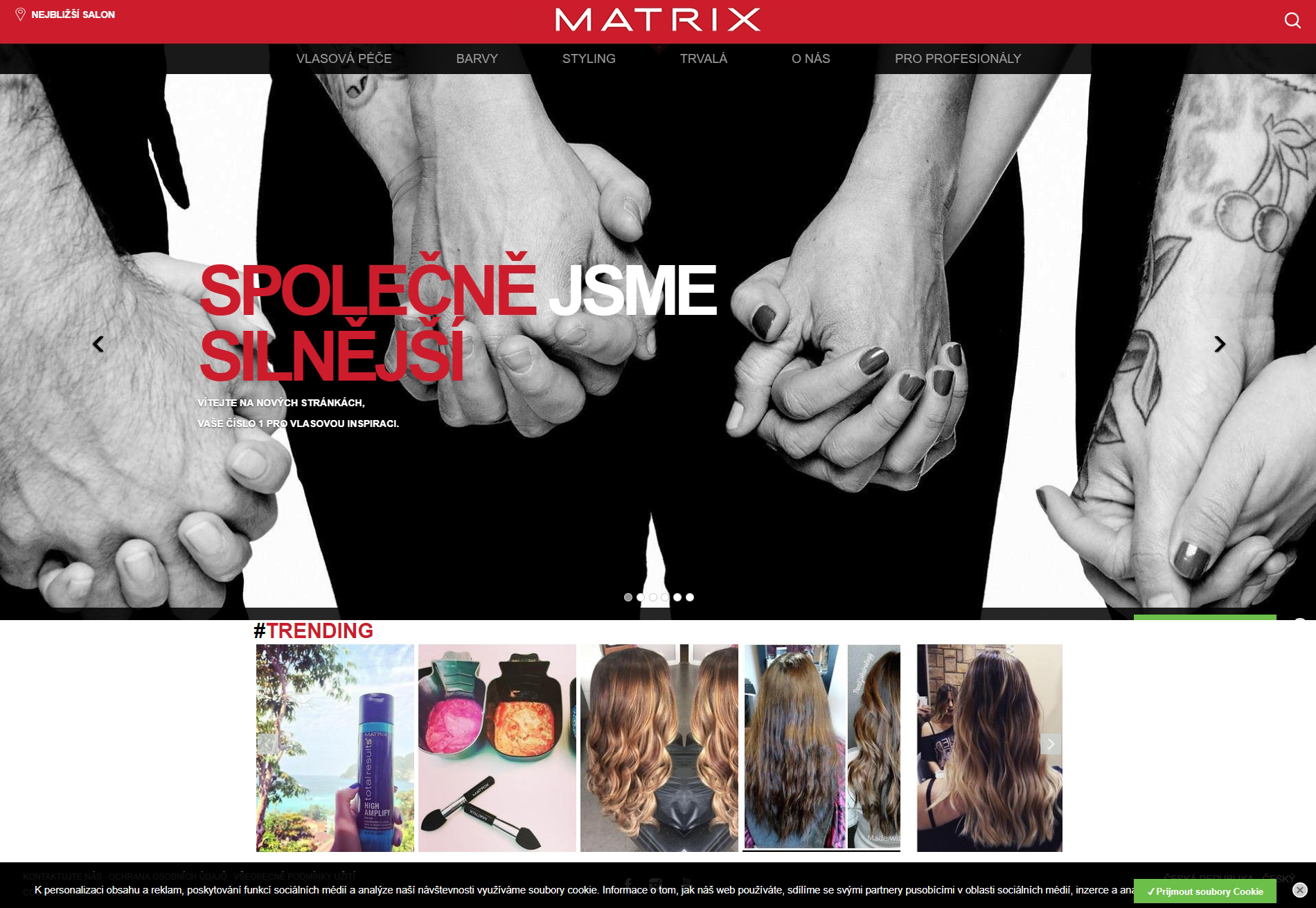 Matrix Professional archived screenshot